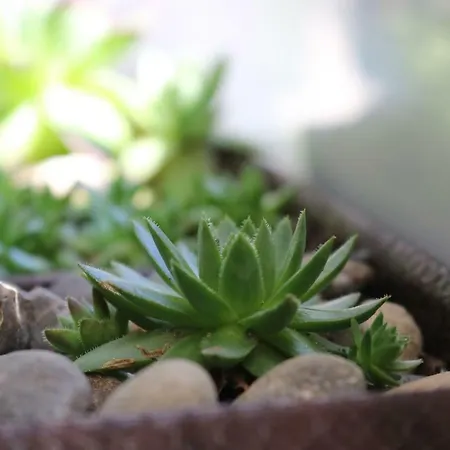 Bei Freiburg Holzhausen (Breisgau-Hochschwarzwald)