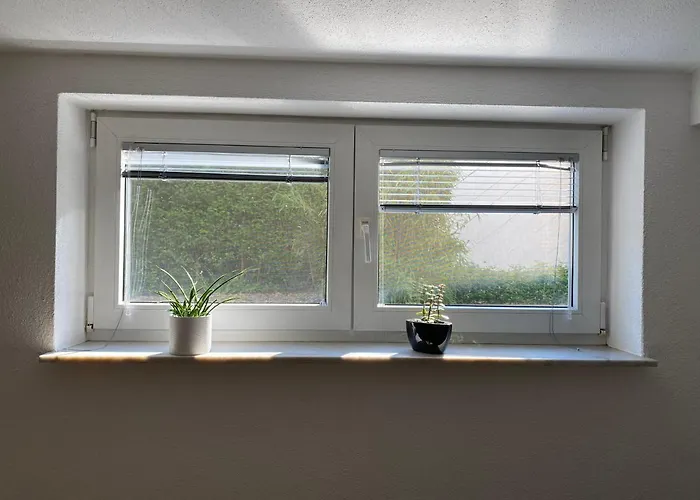 Bei Freiburg * Holzhausen