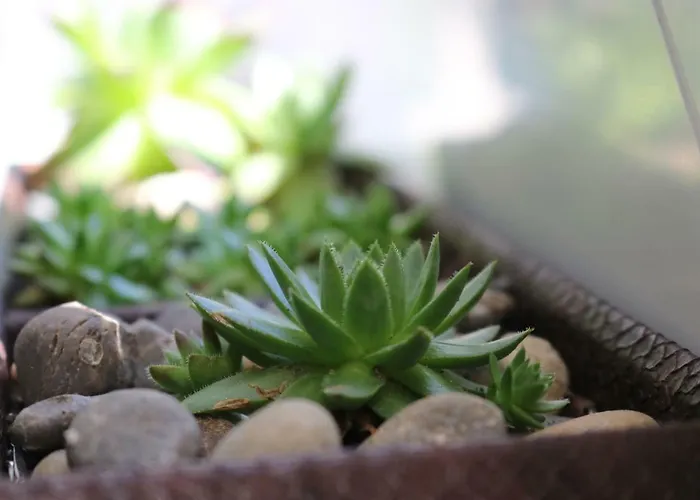 Bei Freiburg Holzhausen (Breisgau-Hochschwarzwald)